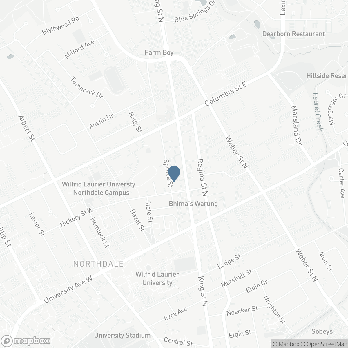 1505 - 318 SPRUCE STREET, Waterloo, Ontario N2L 0E9